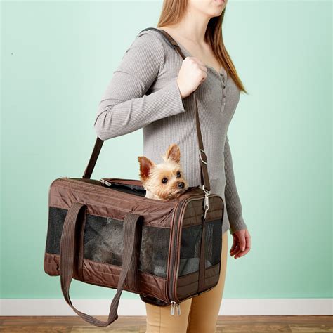 small dog carrier bag airline-approved|approved cat carriers for airlines.